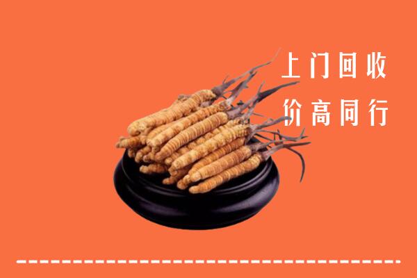 天峻县高价冬虫夏草回收多少钱每克