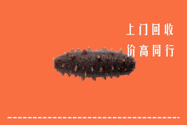 天峻县高价回收海参