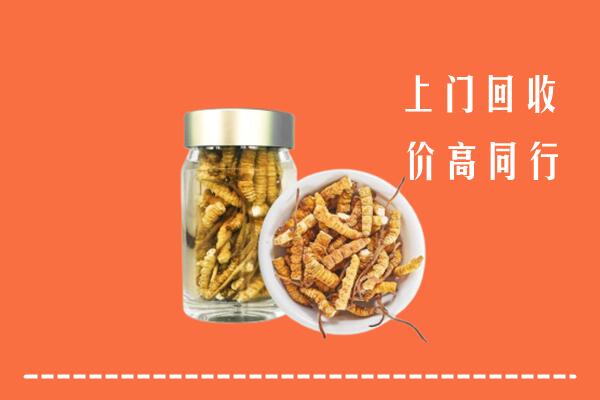 高价求购：天峻县回收冬虫夏草